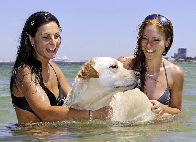 Affenhitze statt Hundewetter: Daniela ...Apollo bei einem Bad in Melbourne ab.   | Foto: dpa