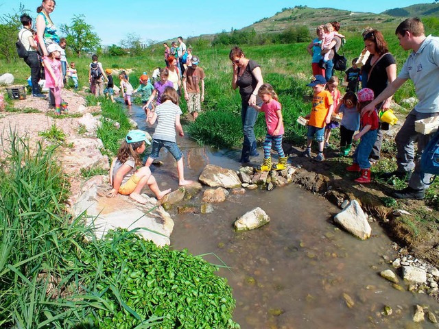 Interessante Entdeckungen konnten die ...nis Wasser fr Familien&#8220; machen.  | Foto: Reinhold Treiber