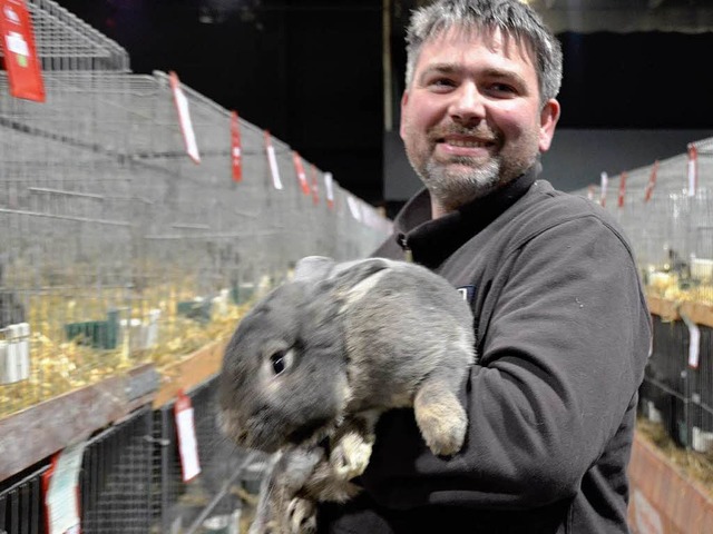 Prachtexemplar &#8211; eines von 5000 ...s-Rassenkaninchenschau zu sehen waren.  | Foto: Julia Dreier