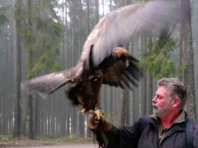 Der Steinadler kann mit seinen Klauen ...k landet der Raubvogel ganz behutsam.   | Foto: Sebastian Wolfrum