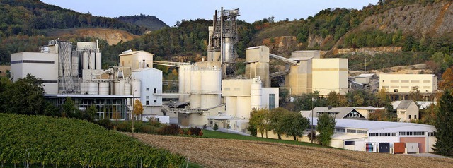 Direkt am Steinbruch in Bollschweil befindet sich auch das Kalkwerk.   | Foto: Archivfoto: Silvia Faller