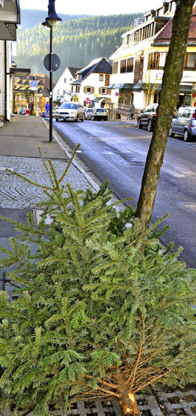 Servus, Nadelbaum, bis im Dezember wie...n Christbaum wartet auf die Abholung.   | Foto: S. Wolfrum