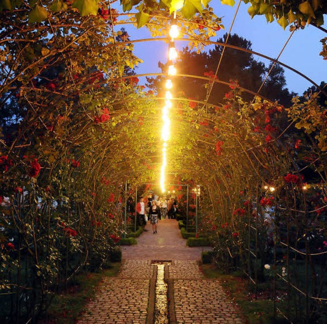 Fr den Rosenabend im Stadtpark sucht ...euen Veranstalter, sprich Financier.    | Foto: wolfgang knstle