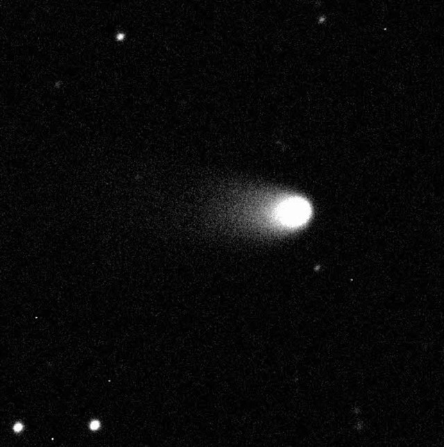 Kommt vorbei: Komet  2011 L4  | Foto: AFP PHOTO/ARMAGH OBSERVATORY