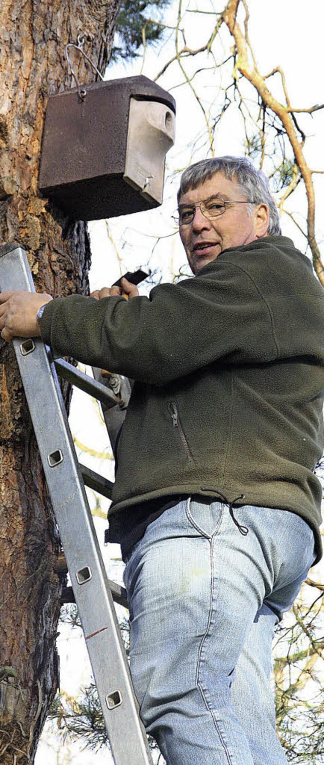 Rudi Apel bernimmt die Arbeit der Spe...d legt Bruthhlen fr viele Vgel an.   | Foto: Jrn Kerckhoff