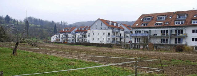 Im Belist (unbebaute Flche) will der ...n Baugebiet  an der Neudorfer Strae.   | Foto: Thomas Loisl Mink