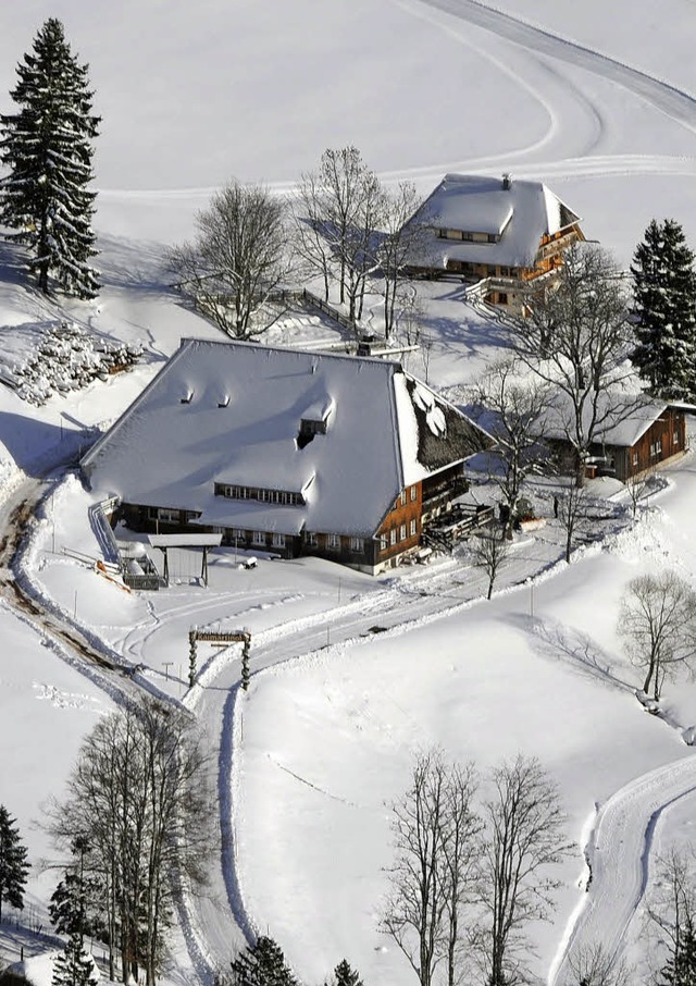 Schwarzwald von seiner besten Winterseite  | Foto: dpa