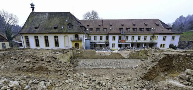 Hinter dem ehemaligen Kartuserkloster...n zur Zeit Bagger und Wissenschaftler.  | Foto: ingo schneider