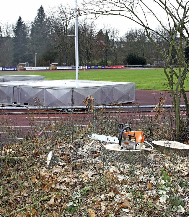 Im Frankenmattstadion wurden zehn Bume gefllt.  | Foto: kerckhoff