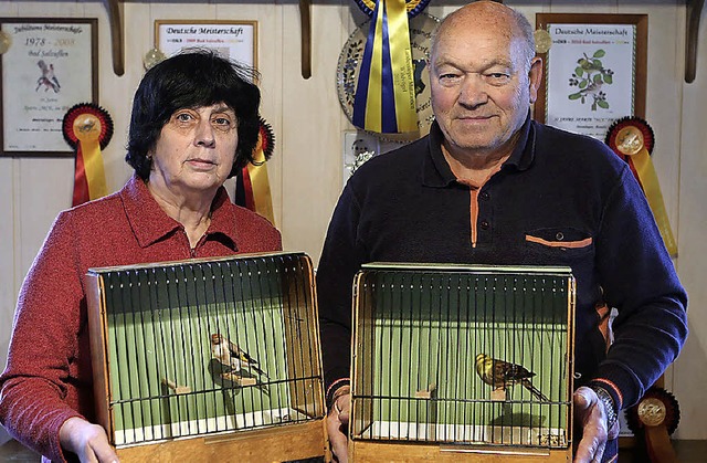 Preisgekrnt: Eine Goldammer und ein S... Hnden des Zchterpaars Strmlinger.   | Foto: Christoph Breithaupt