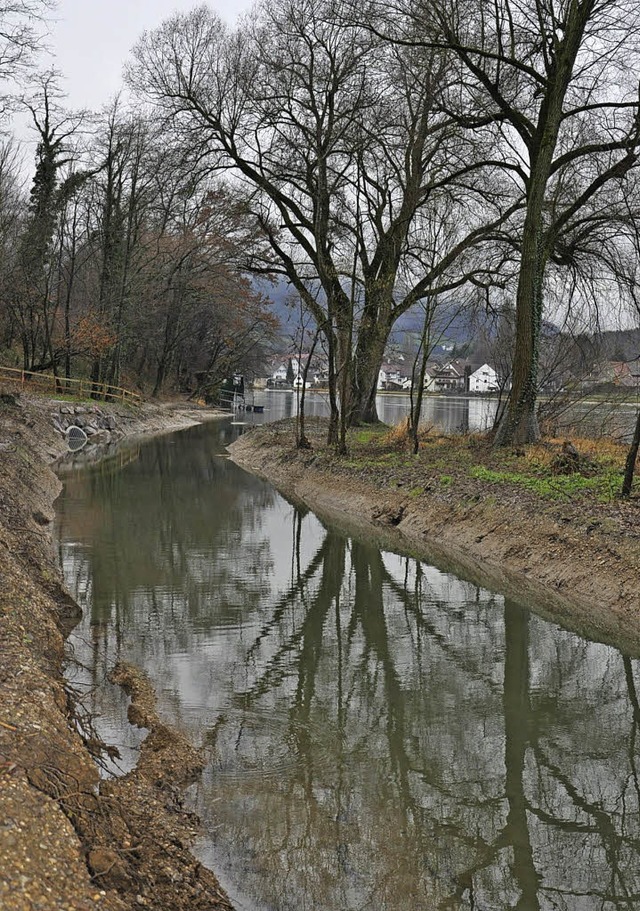 Die Rheinauen in Wallbach versanden  | Foto: Verena Pichler