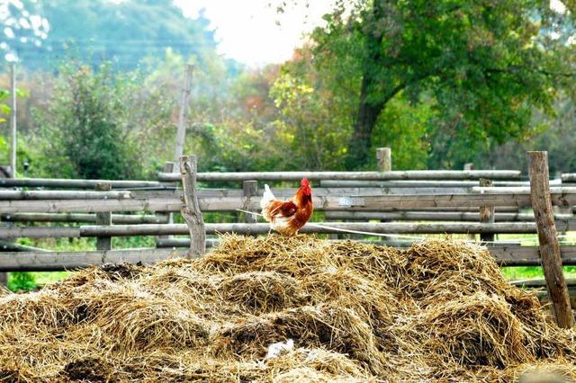 Der Landwirtschaft geht der Nachwuchs aus