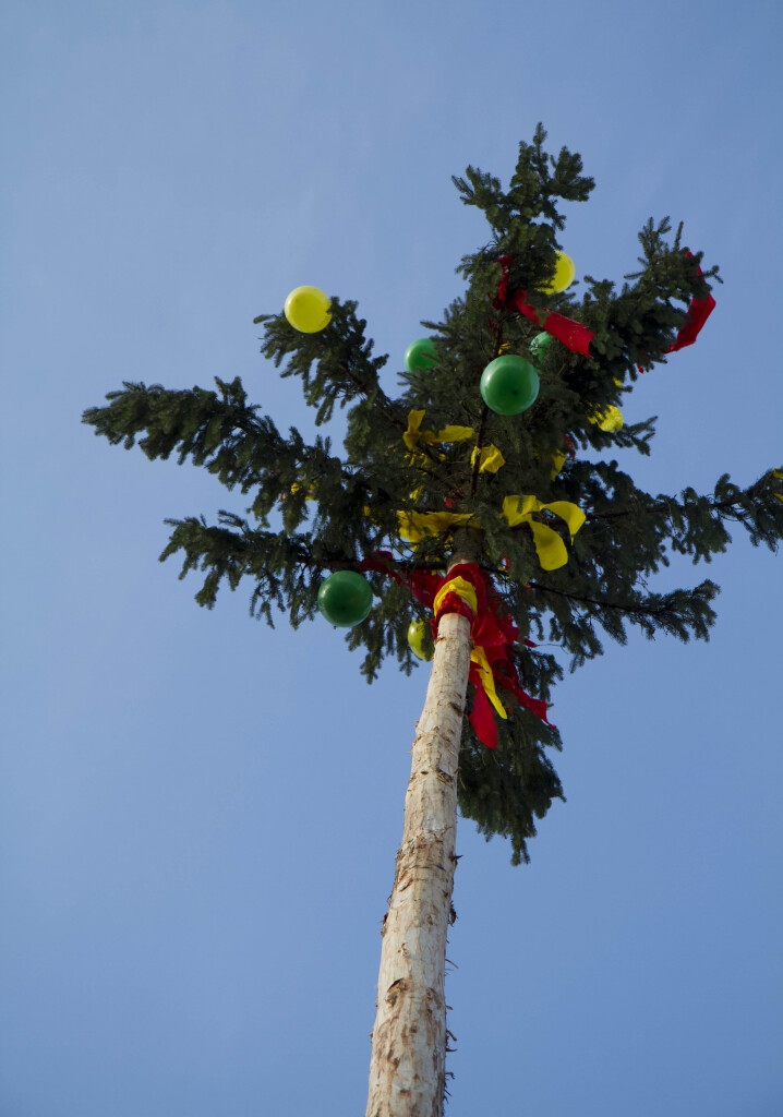 Narrenbaumstellen in Elzach