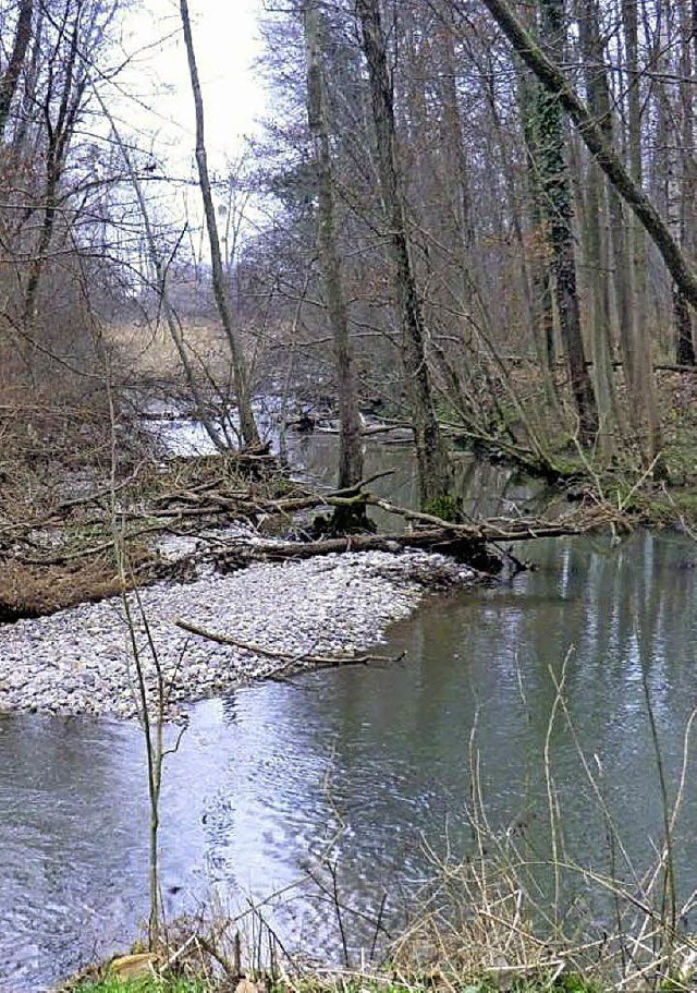 Die strkere Durchstrmung bei Hochwas... argumentiert das Regierungsprsidium.  | Foto: Regierungsprsidium