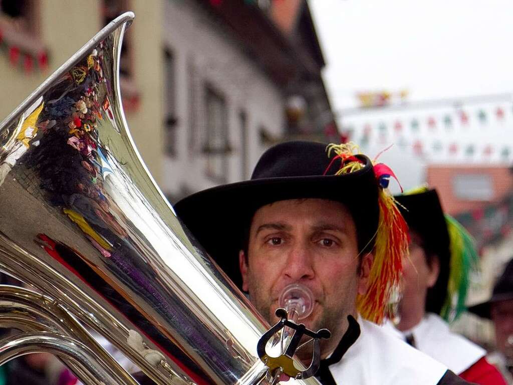 Die Elzacher Narrenzunft hat als Gastgeber fr eine groe Feier gesorgt.