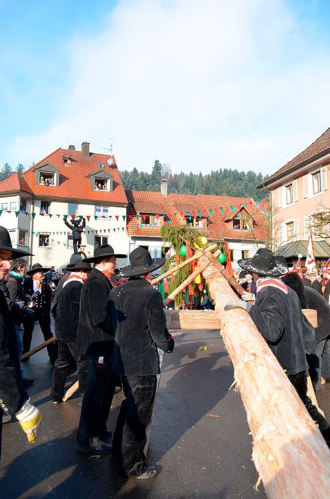 Der 23 Meter lange Narrenbaum ist am Brenplatz angekommen.