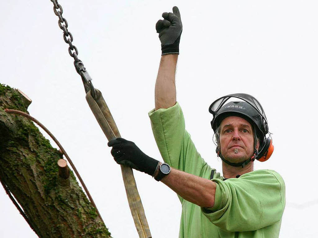 Baumpfleger Andreas Rehwinkel trgt einen Baum in Schmieheim scheibchenweise ab.