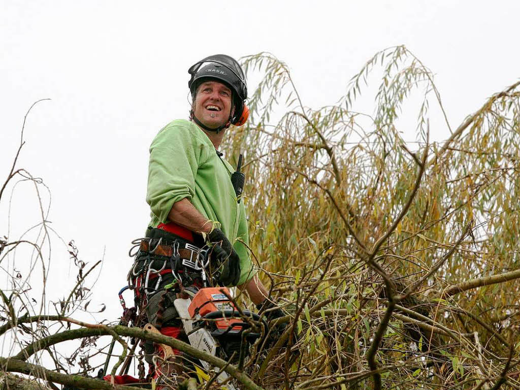 Baumpfleger Andreas Rehwinkel trgt einen Baum in Schmieheim scheibchenweise ab.