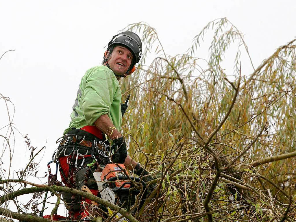 Baumpfleger Andreas Rehwinkel trgt einen Baum in Schmieheim scheibchenweise ab.