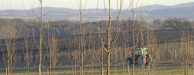 Die meisten Landwirte achten auf den E...dwege, einzelne offenbar aber nicht.    | Foto: archivfoto: langelott