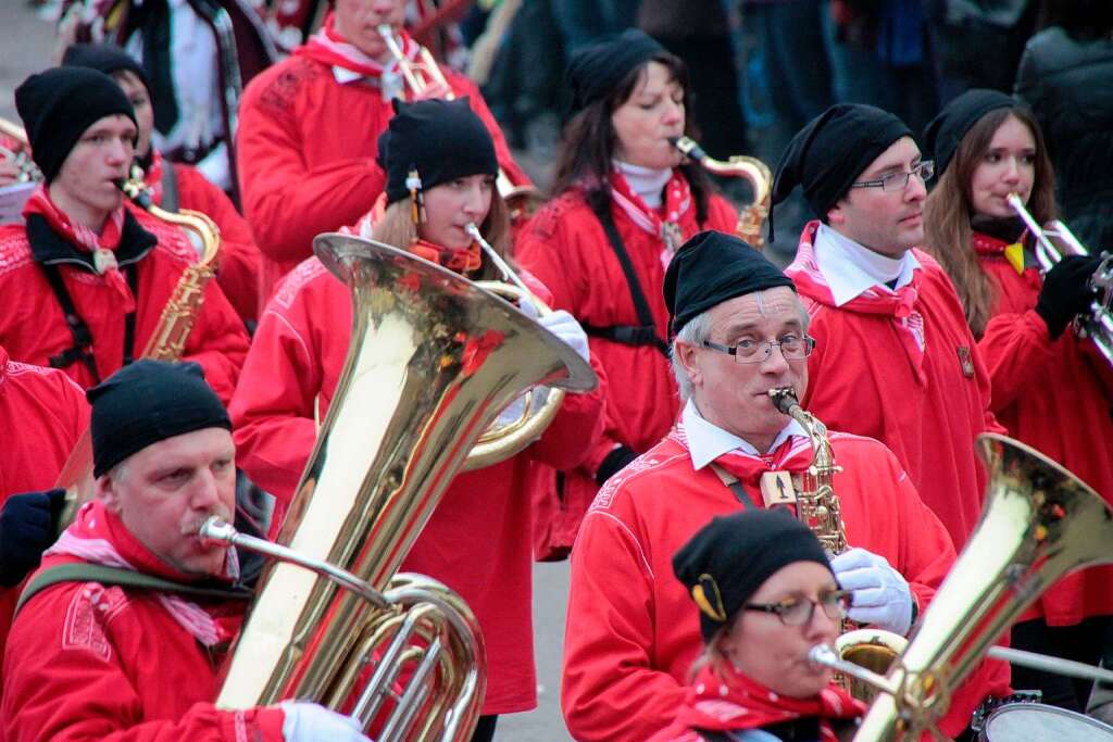 Impressionen vom Narrentag in Elzach