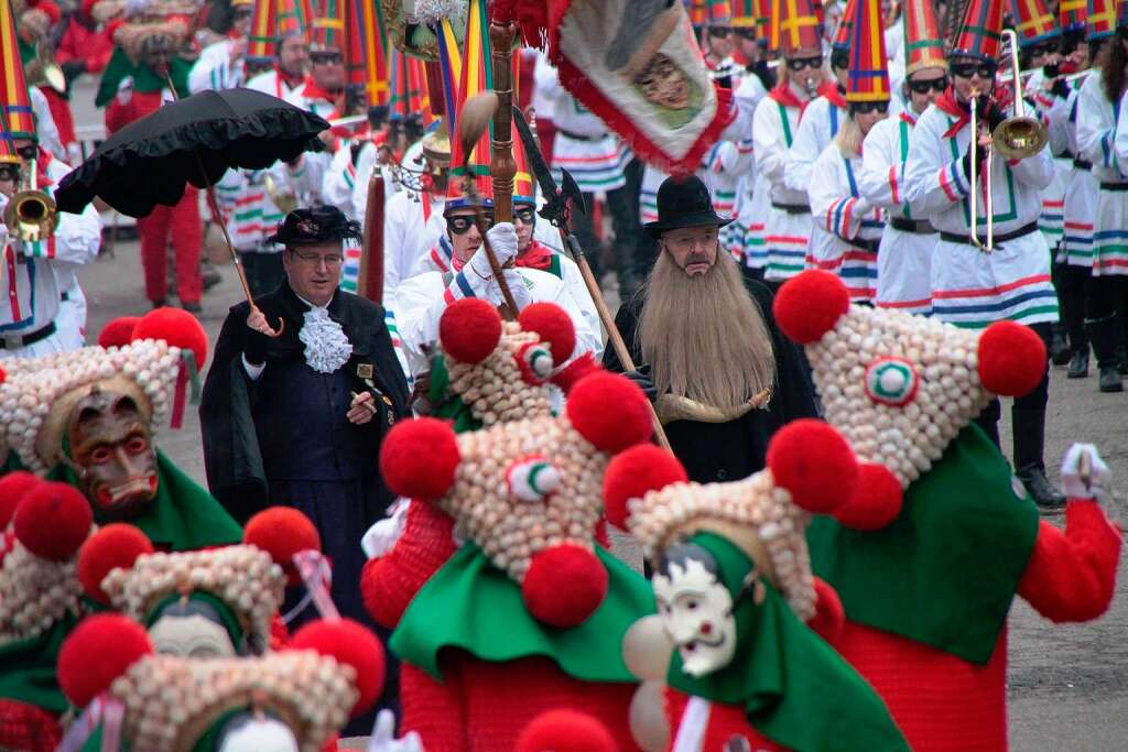 Impressionen vom Narrentag in Elzach