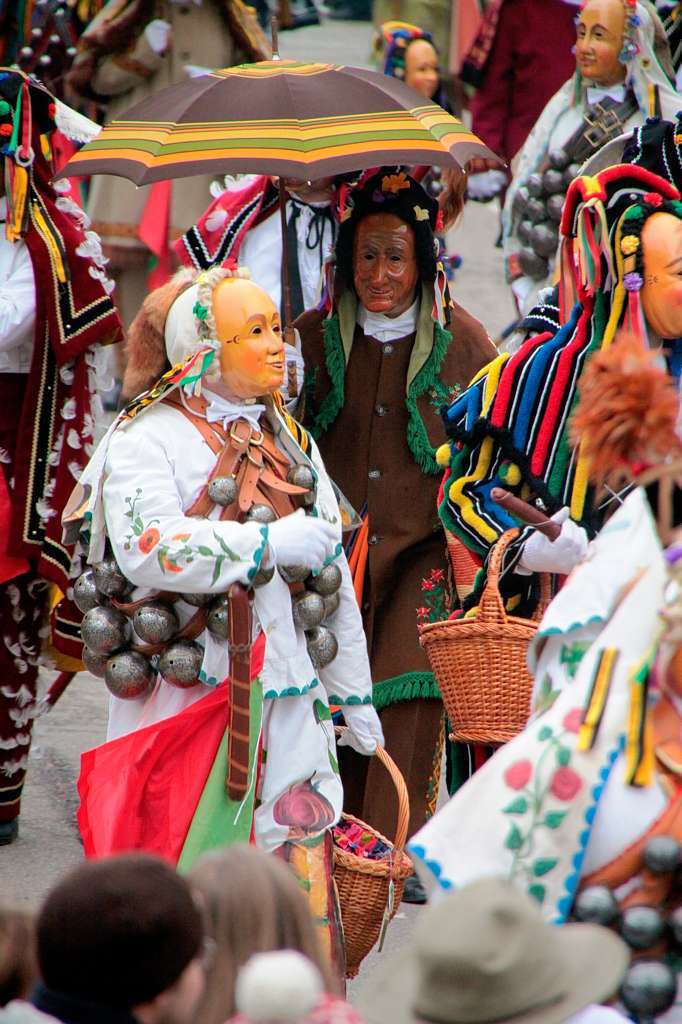 Impressionen vom Narrentag in Elzach