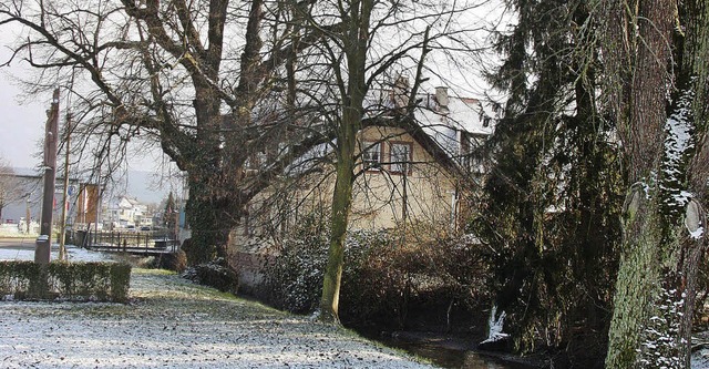 Die Standfestigkeit der  Linde ist gef...l versucht werden, den Baum zu retten.  | Foto: Sandra Decoux-kone