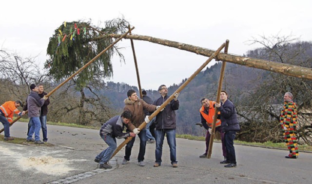 Hau ruck! Die Eberfinger Wurzelseppen ...er (im bunten Hansele) den Narrenbaum.  | Foto: Binner-Schwarz