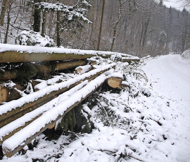 Abgeholzt wurde inzwischen von zwei Waldbesitzern.  | Foto: Petra Wunderle