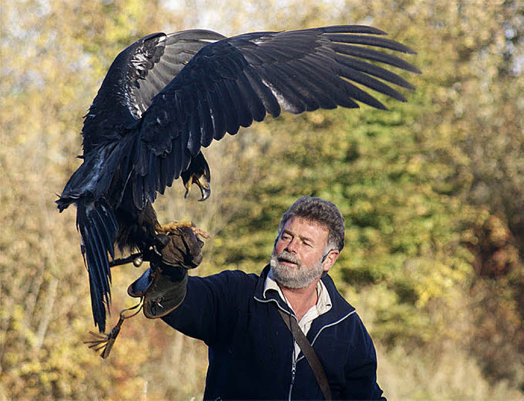 FALKNER Freiamt Badische Zeitung