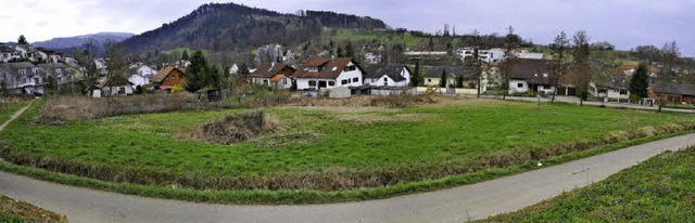 Das geplante Baugebiet  Erlenweg in Su...Grund genug, den Haushalt abzulehnen.   | Foto: Volker Mnch