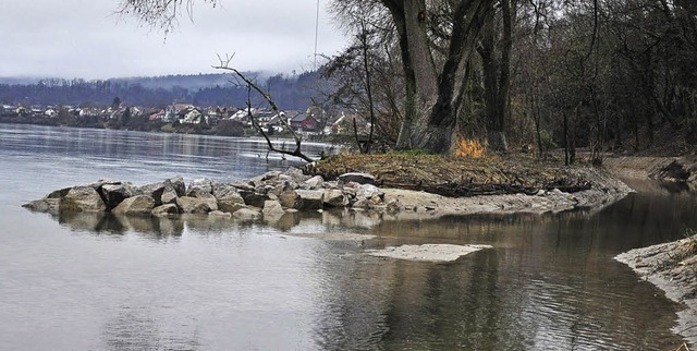 Die Rheinauen in Wallbach versanden  | Foto: Verena Pichler