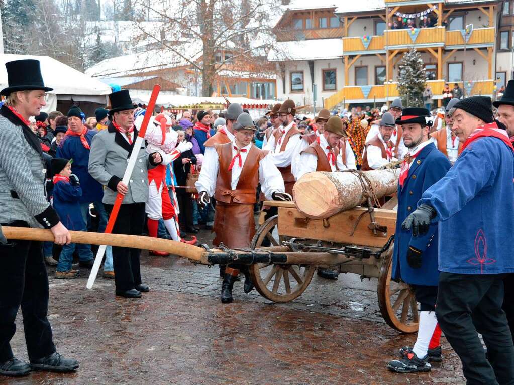 Ein spannendes Spektakel war das Narrenbaumstellen.