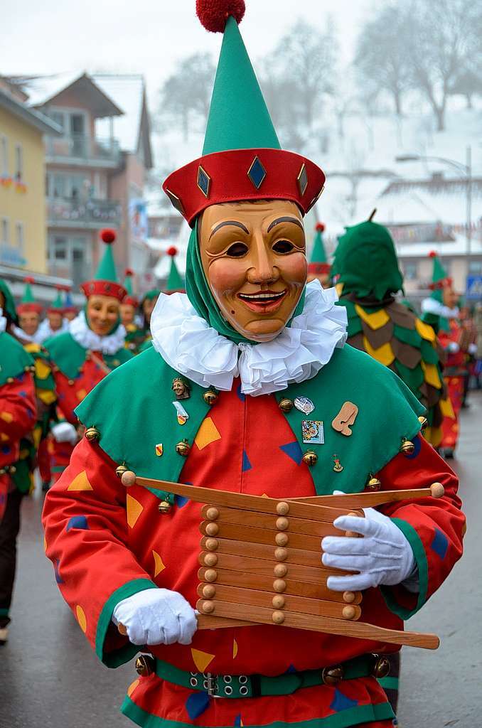 Tausende von Hstrgern aus 43 Znften bevlkerten die Bonndorfer Innenstadt.