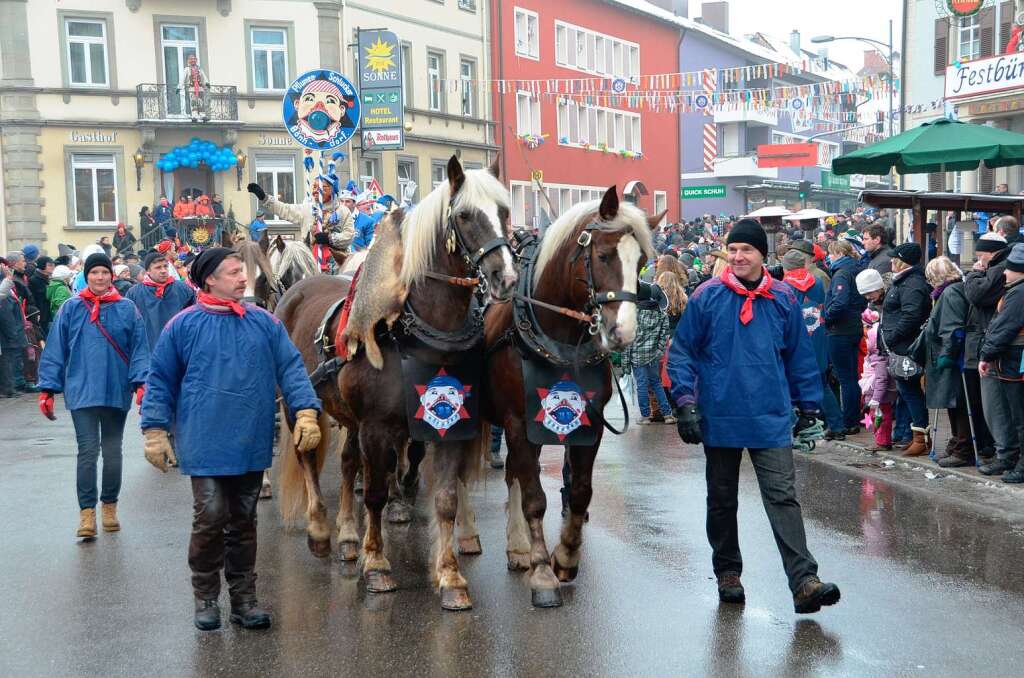 Erstmals wurde der Stammen mit dem Bonndorfer Narrenrat von sechs Pferden gezogen.