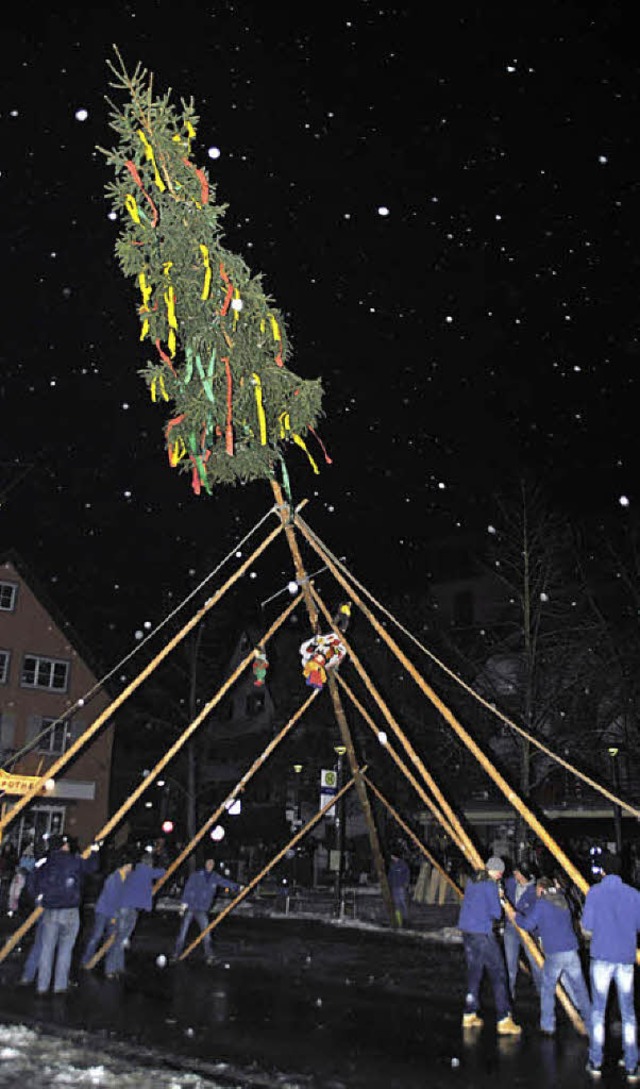 Stolze 21 Meter und 25 Zentimeter ragt der Binzener Narrenbaum in die Hhe.   | Foto: Norbert Sedlak