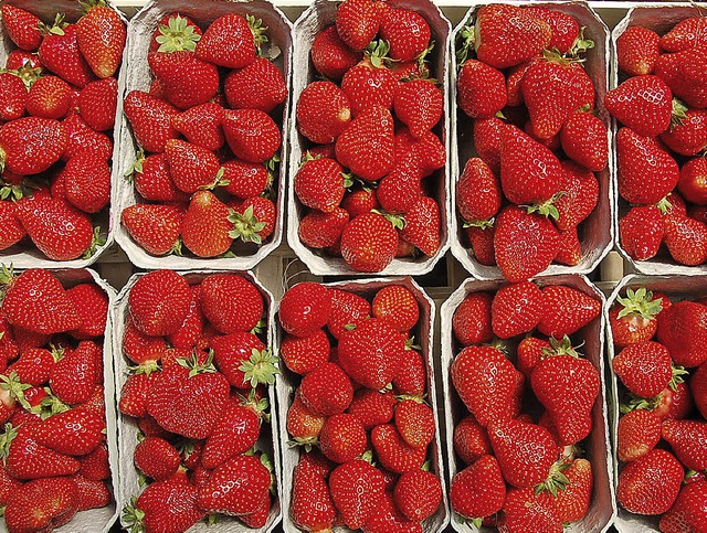 Erdbeeren bleiben wohl das leistungsf...einen Umsatz von neun Millionen Euro.   | Foto: Fotos: Seller/Karle