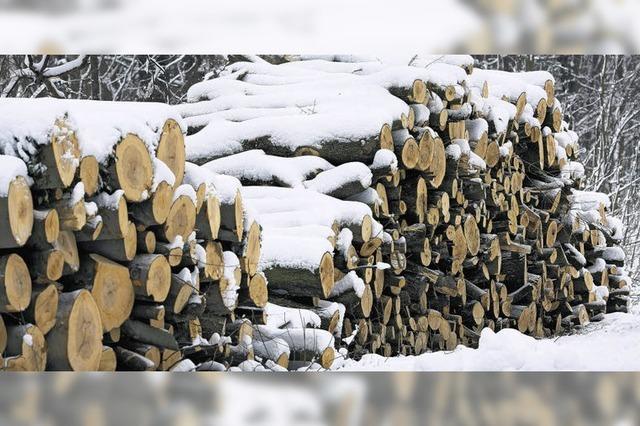 Wald wird wieder zum Ofen der Baar