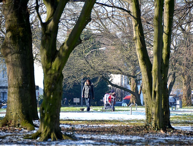 Der Herbert-King-Park wird auch im Win... die Besucher nicht angepbelt werden.  | Foto: Peter Gerigk