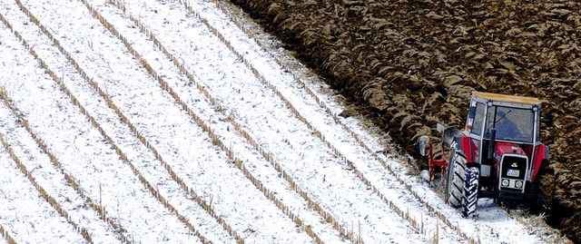 Zentraler Bestandteil der EU: die geme...litik zur Frderung der Landwirtschaft  | Foto: Siegfried Gollrad