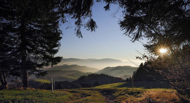 Schwarzwald, Regio und Idylle  pur &#8...e Farben einer attraktiven Landschaft.  | Foto: Pro