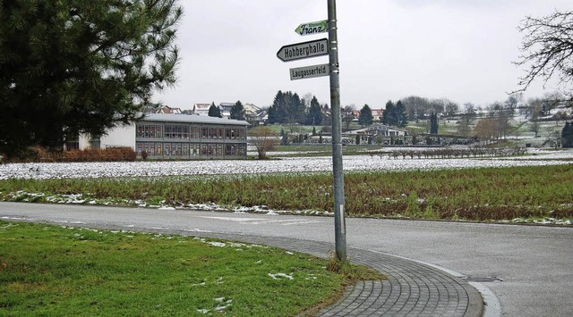 Im Laugasserfeld in Niederschopfheim sollen 80 Baupltze entstehen.   | Foto: r. tebbel