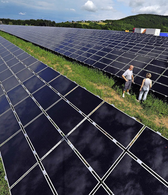 Mit Energie von der Sonne und Holzschn...tioneller Energie unabhngig machen.    | Foto: DPA/DAPD