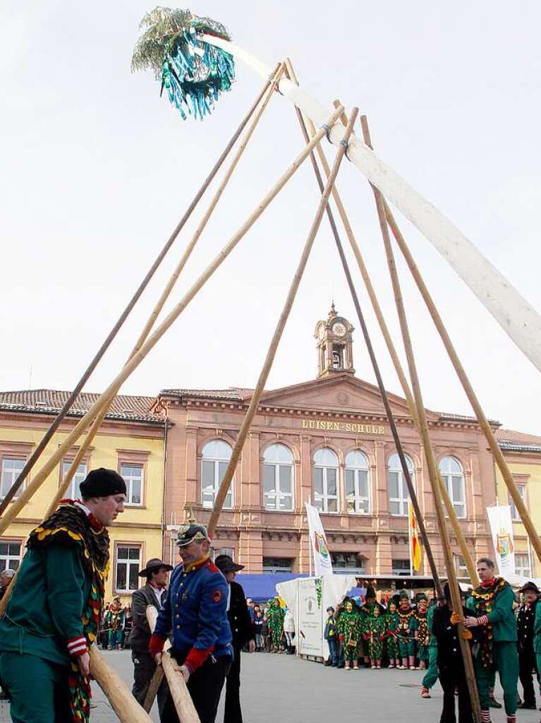 Zum Auftakt des Narrentags in Lahr wird der Narrenbaum auf dem Rathausplatz aufgestellt. Zum Auftakt des Narrentags in Lahr wird der Narrenbaum auf dem Rathausplatz aufgestellt.