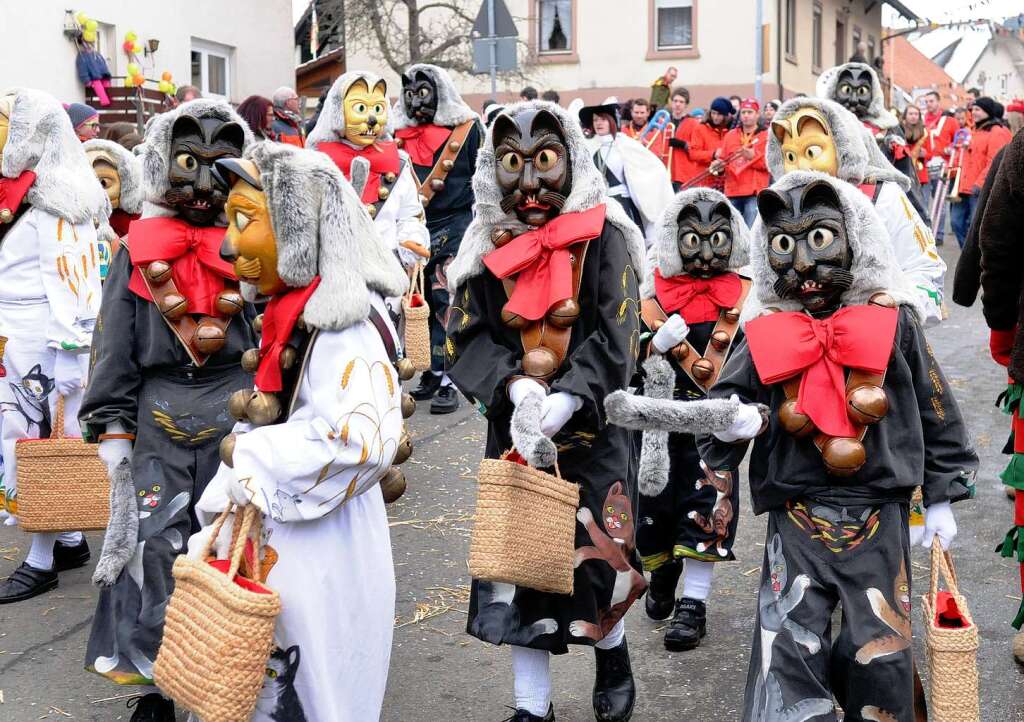 Närrisches Treiben beim Zunftabend und großen Umzug in Schweighausen Närrisches Treiben beim Zunftabend und großen Umzug in Schweighausen