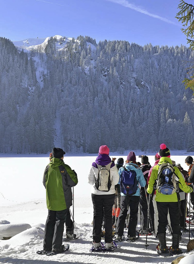 Am Feldsee mit Blick auf die  Seebuckw...sen ber Tier- und Landschaftsschutz.   | Foto: gabriele hennicke