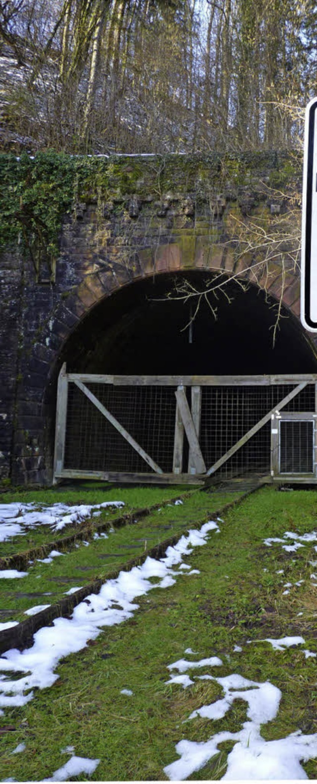 Der letzte Personenzug fuhr am 23. Mai...unnels wrde Millionen verschlingen.    | Foto: sattelberger