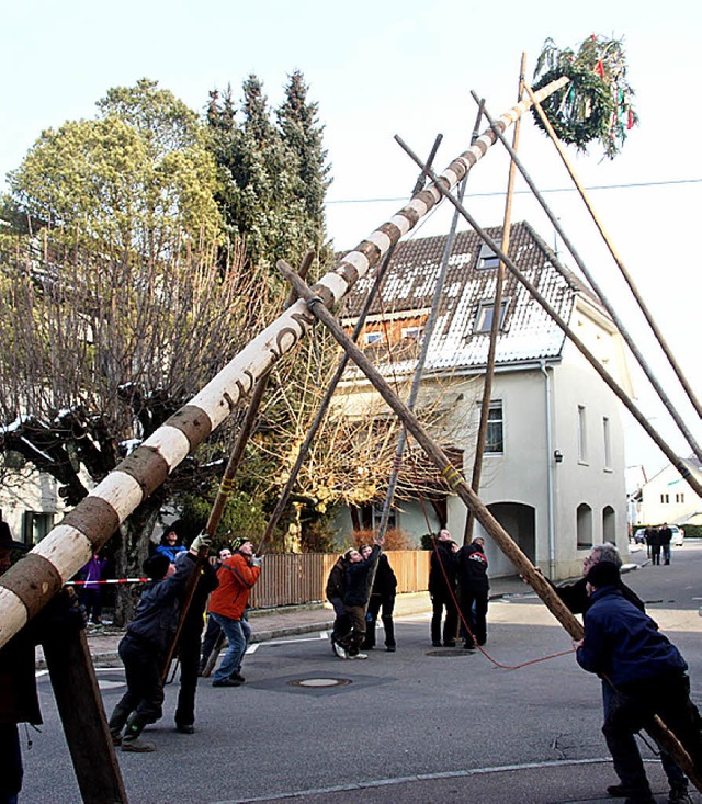 22 Meter hoch ist der Narrenbaum, der ...onntag in Maulburg aufgestellt wurde.   | Foto: Heiner Fabry