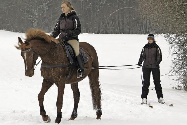 Skijöring mit Pferd